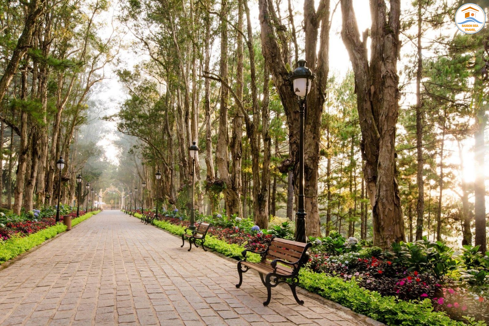 TP. HỒ CHÍ MINH - ĐÀ LẠT THÀNH PHỐ NGÀN HOA