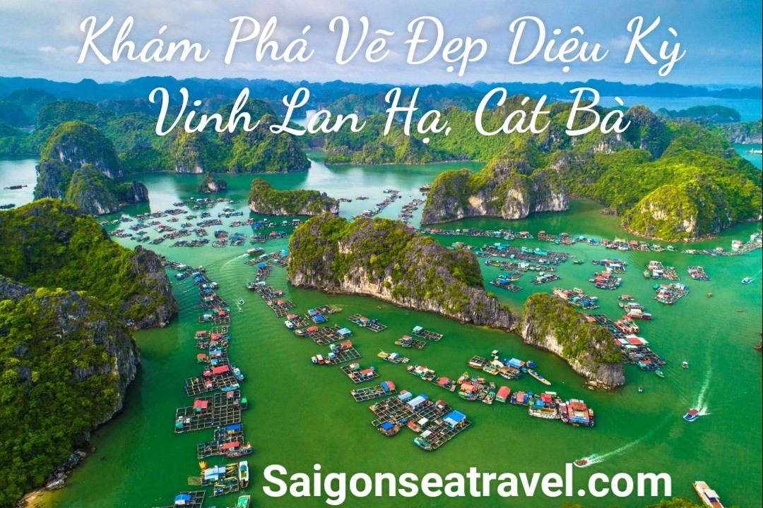TP. HỒ CHÍ MINH - ĐẢO CÁT BÀ HẢI PHÒNG - VỊNH HẠ LONG