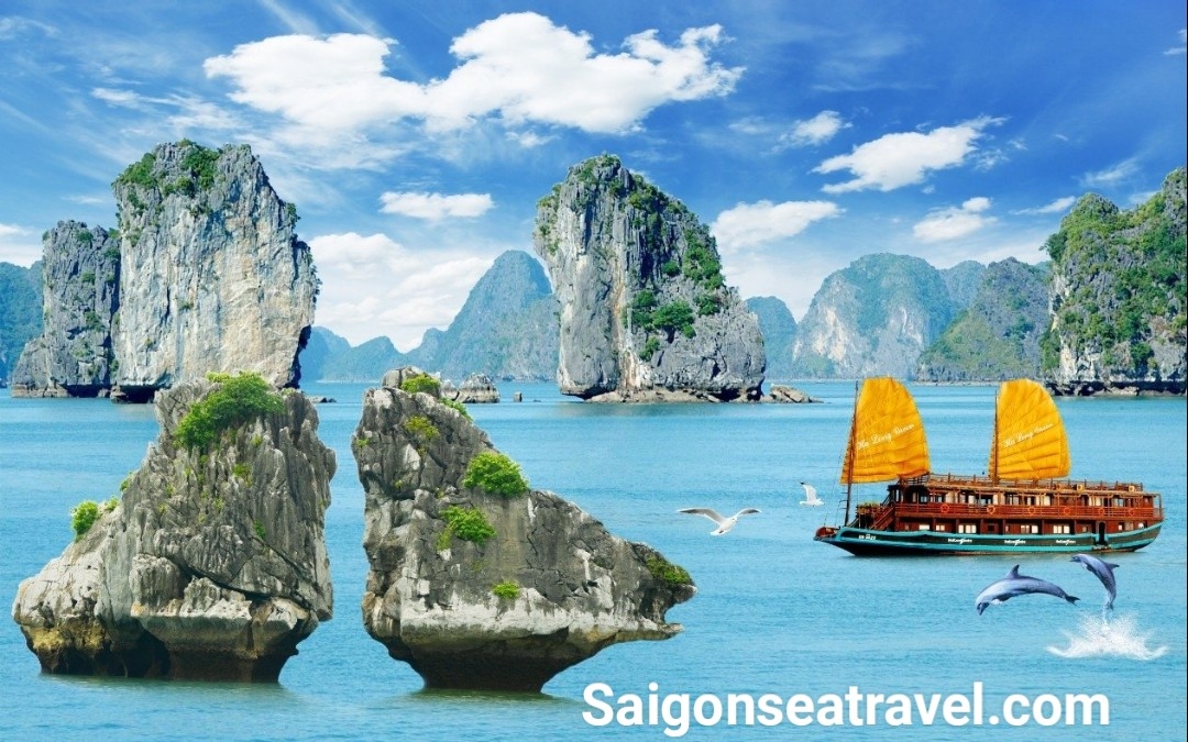 TP. HỒ CHÍ MINH - ĐẢO CÁT BÀ HẢI PHÒNG - VỊNH HẠ LONG